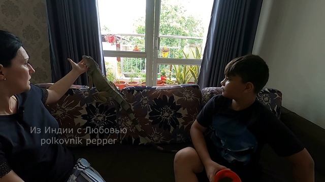 как мы решились завести зелёную игуану дома смотреть онлайн