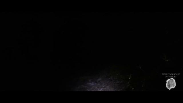 Sasquatch: A Journey Into the Unknown смотреть онлайн