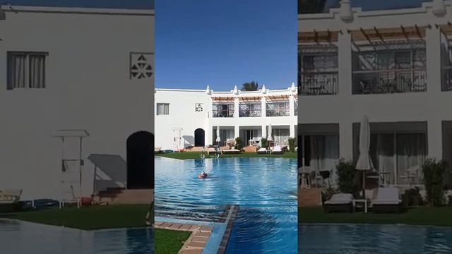 Шарм Эль Шейх Sunrise Remal Beach отель смотреть онлайн