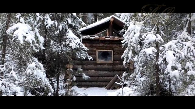 ?/Суровая жизнь отшельника/ Медведь подранок пришел в избушку/ смотреть онлайн