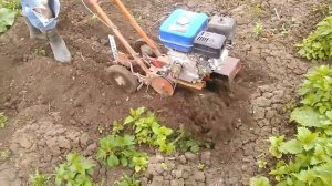 Культиватор крот!двс Хонда...