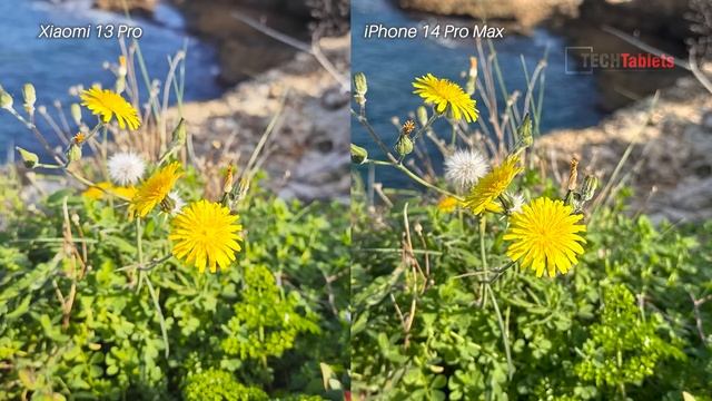 Xiaomi 13 Pro Vs iPhone 14 Pro Camera Comparison смотреть онлайн