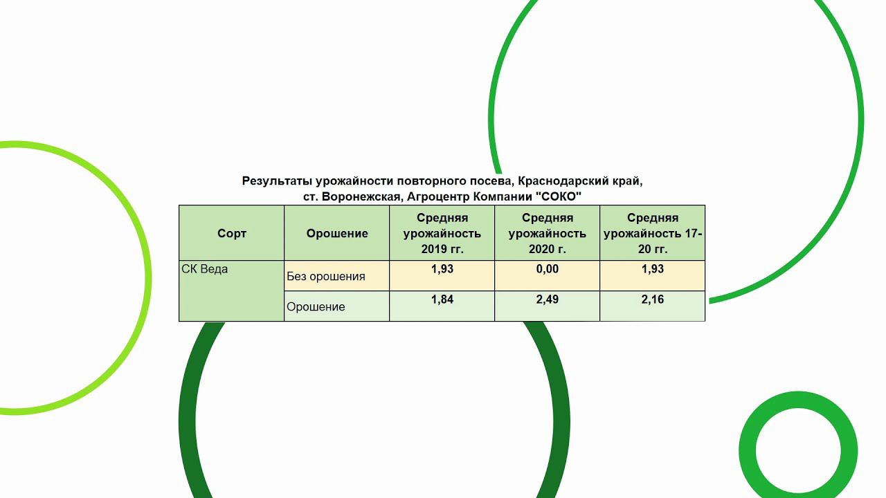 Повторный посев 2020, сорт сои СК Веда смотреть онлайн