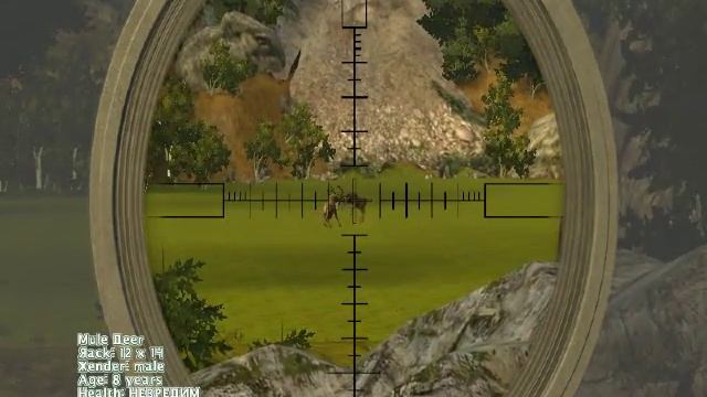 Cabelas Big Game Hunter 2009 LP- Медведь и олень (чс.2) смотреть онлайн