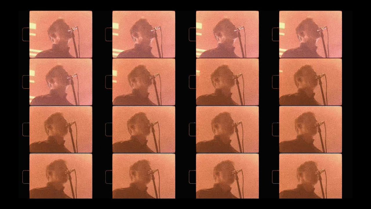 Дельфин / тур 