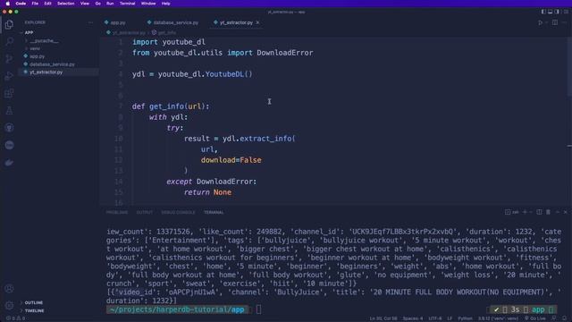 Build & Deploy a Fitness App that sends daily E-mails | Python & HarperDB Tutorial смотреть онлайн