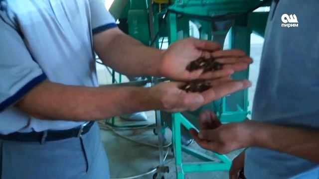 Өзгөндө куручту тангактоочу чакан завод ачылды 20.09.17 смотреть онлайн