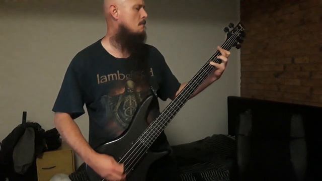 Lamb of God - New Colossal Hate | Bass Cover смотреть онлайн