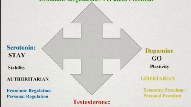 Dr. Helen Fisher's 4 Hormone Personality Types - Libs/Estro, Cons/Testo, Authoris/Sero & Libers/Dop смотреть онлайн