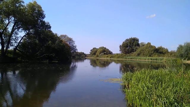 Река Протва, пионерский пляж смотреть онлайн