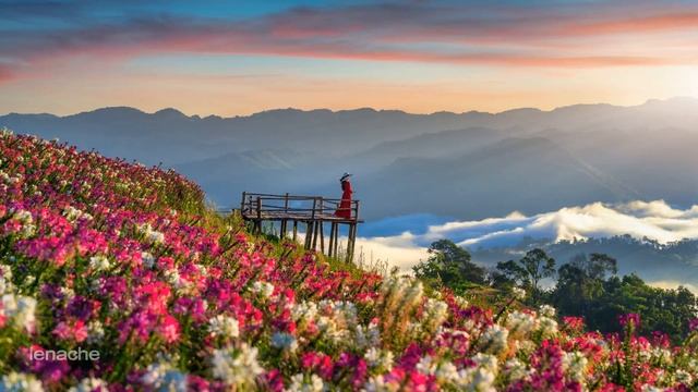 Глубокое исцеление и гармонизация музыкой/ Автор Лариса Шиберт смотреть онлайн