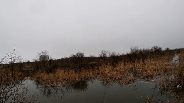 Щука Судак Вобла - Отдых у костра смотреть онлайн