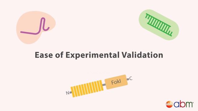 Gene Silencing Methods: CRISPR vs. TALENs vs. RNAi смотреть онлайн