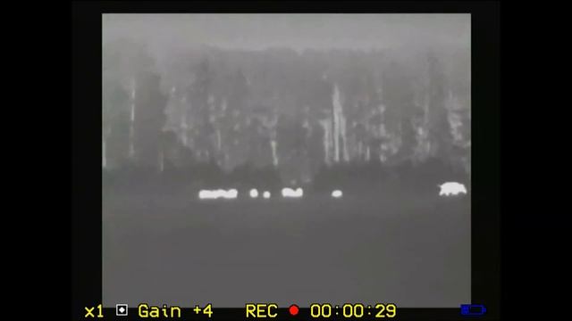 GT-Fera LRF termovizorius su tolimačiu смотреть онлайн