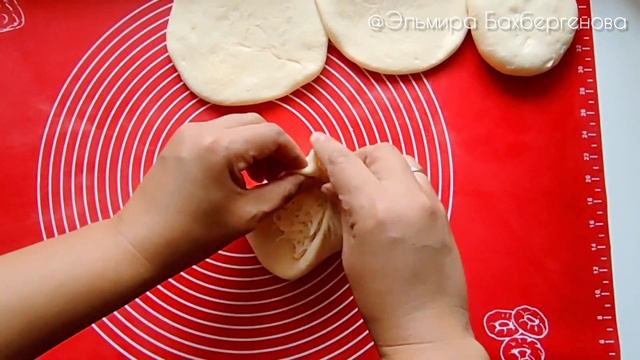 Ботанические адаптации