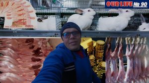 Кролиководство в действии. Результаты нового комбикорма.  Космический  выход мясо в 3 месяца.