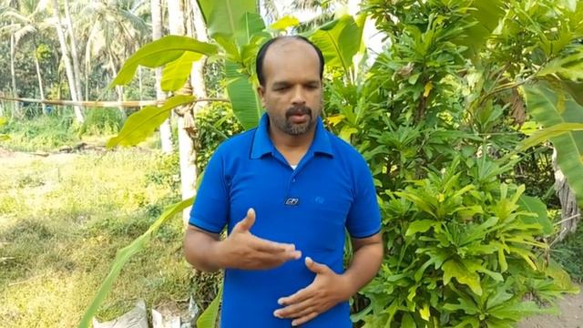 Do this to keep your pet dogs healthy/വളർത്തു നായ്ക്കൾ ആരോഗ്യമായിരിക്കാൻ ഇങ്ങിനെ ചെയ്യുക...! смотреть онлайн