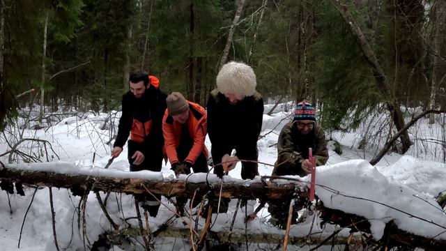 Много Silky I Тревожный Павлик