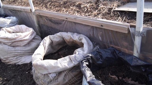 ОТЛИЧНЫЙ СПОСОБ ВЫРАЩИВАНИЯ В МЕШКАХ ОГУРЦЫ, ТЫКВЫ, КАБАЧКИ ЧАСТЬ 1 смотреть онлайн