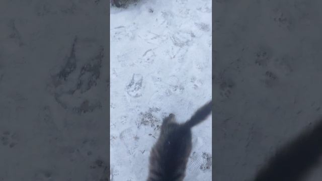 Моё утро в деревне смотреть онлайн