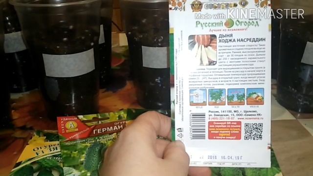 ?Посев семян мини дыни и огурцов. смотреть онлайн