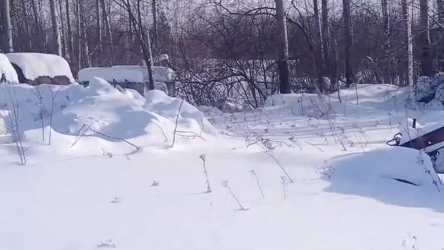 Аэропорт Головино Томская область смотреть онлайн
