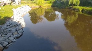 Пруд на своем участке, укрепление берега