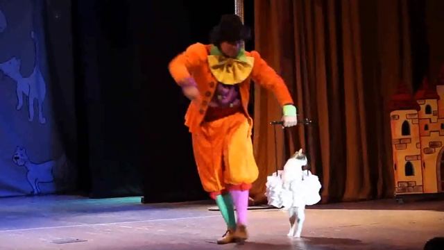 Шоу Новый год и кошки смотреть онлайн