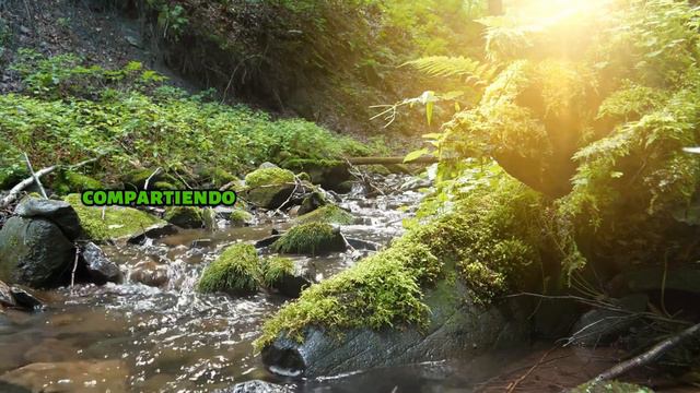 EMPIEZA TU DÍA CON ESTA PODEROSA 👉 ORACIÓN A DIOS CUANDO TE LEVANTAS | CONNY MÉNDEZ 🙏 смотреть онлайн