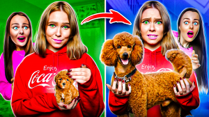 МОЯ СОБАКА ТОГДА VS СЕЙЧАС! Как изменилась Чили?