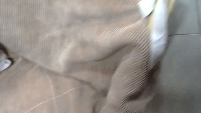 Лошадка качалка со спинкой смотреть онлайн