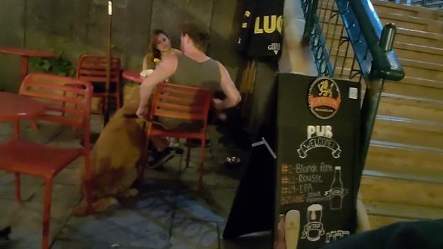 #канада Прогулки по Канаде №21 3 июЛя 1608 года ДР города Квебек, жизнь в Канаде смотреть онлайн