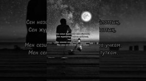 Султан Садыралиев - Махаббатым