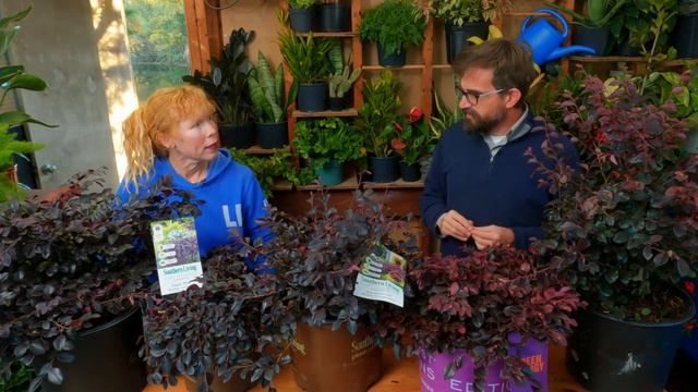 Too Many Plants? | Plant Show, Episode 23 смотреть онлайн