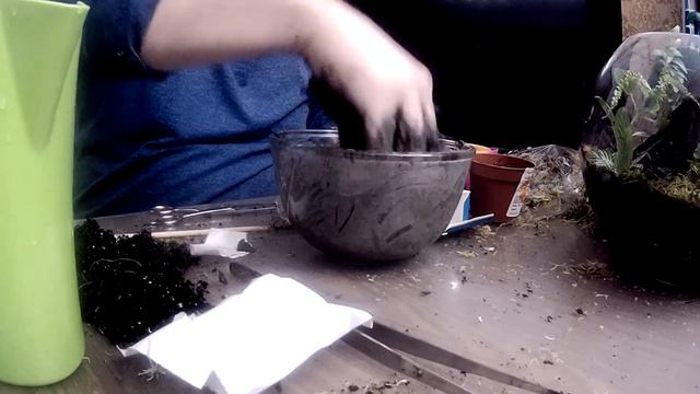 Аквариум, флорариум и вабикуса. Часть 2. смотреть онлайн
