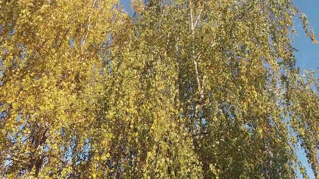 Осень сказку сочинила... смотреть онлайн