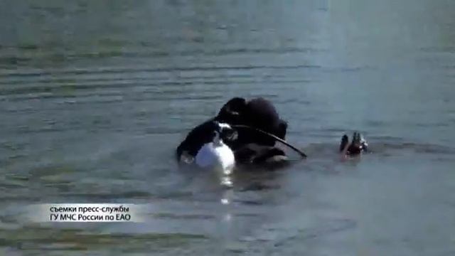 Главные правила поведения на воде напоминают спасатели ЕАО