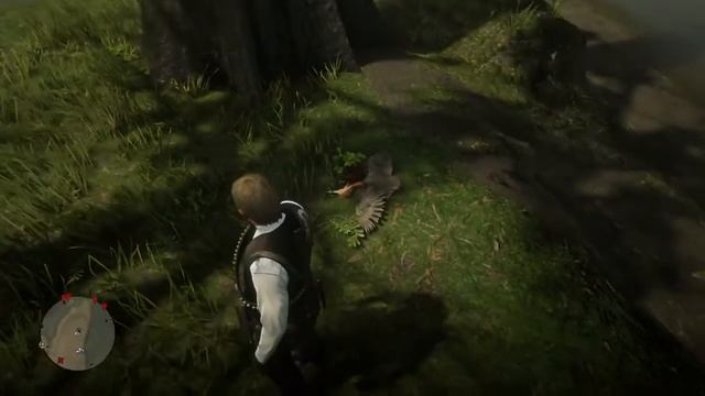 Красная цапля в Red Dead Redemption 2 где искать смотреть онлайн