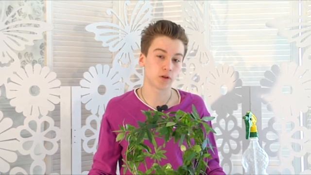 Комнатное растение ПАССИФЛОРА. Про уход и содержание. БотаникLIVE смотреть онлайн