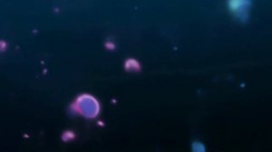 Летнее время | опенинг 2 | 2K | 60 fps