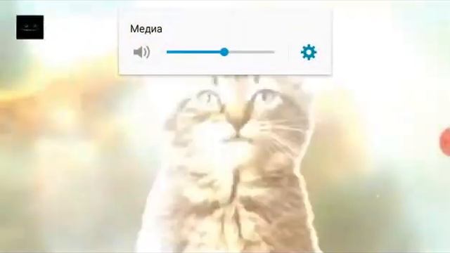песня котят ????? смотреть онлайн