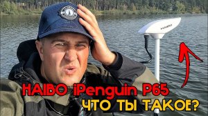 Что с ним? Хитрости, Настройки и Особенности работы - Haibo iPenguin P65 настройка