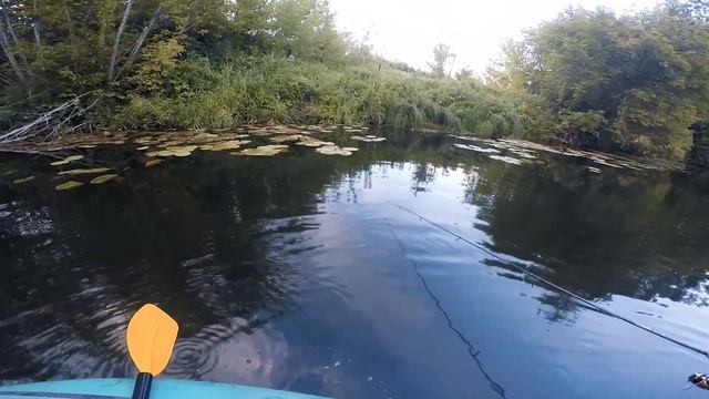 Ставим перемёт на СОМА. Подготовка (часть 1) смотреть онлайн