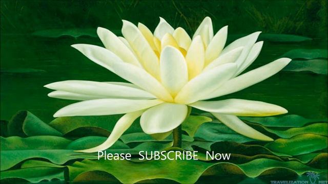 Chinese Bamboo Flute | Beautiful Meditation Music | Chinese Music | смотреть онлайн