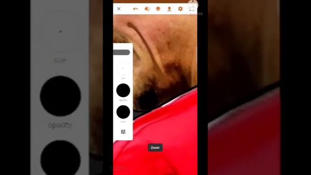 Zlatan Ibrahimovic covers, illustrator android,part1. смотреть онлайн