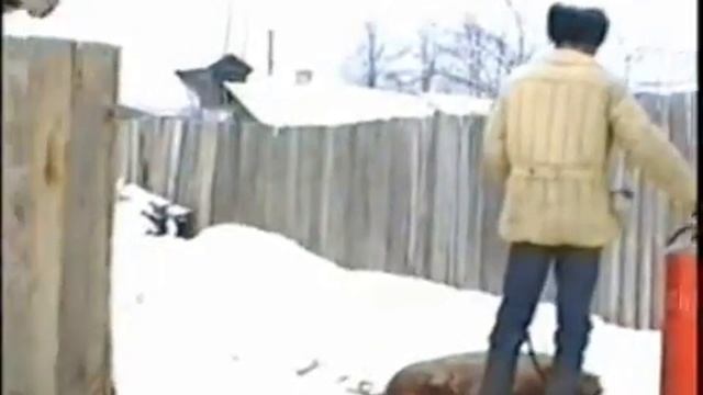 Разделка поросёнка в посёлке Стёпанцево на ул. Ленина 1995 год смотреть онлайн