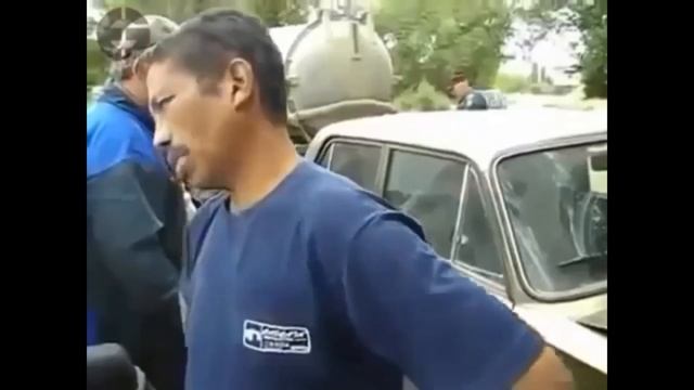 7 утра не трогай голубей рано (Сапсан) смотреть онлайн