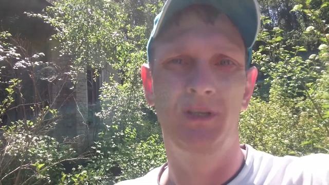 Книжные выходные. Читаю Трон из костей дракона и Слышащий смотреть онлайн