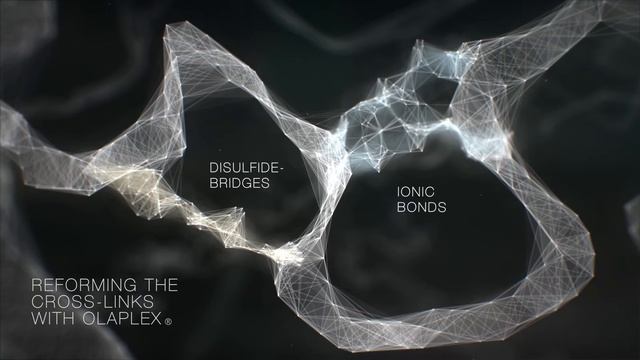 OLAPLEX - Come Funziona