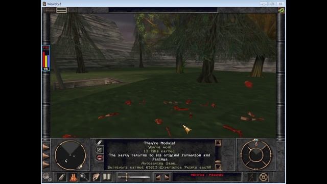 Wizardry 8: Solo fairy psionic (32) - Snack on the beach смотреть онлайн